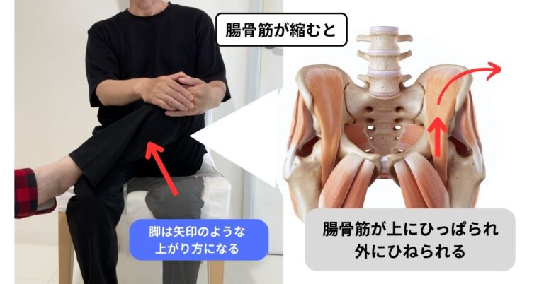 腸骨筋が縮まると脚を組むような姿勢になる